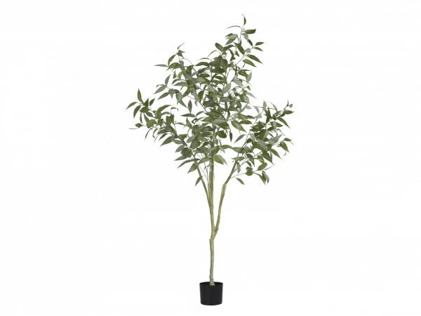 Plant Groen 3 Plant Groen