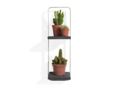 Wandplank ROSETTA - Zwart/Goud Zwart