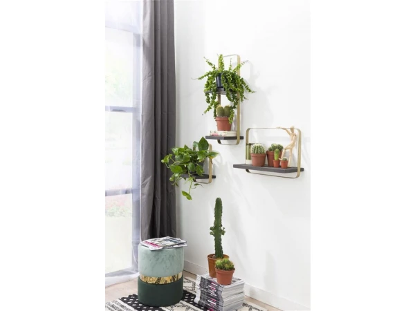 Wandplank ROSETTA - Zwart/Goud Zwart 4 Wandplank ROSETTA - Zwart/Goud Zwart - Afbeelding 2