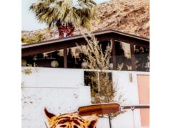 Wanddecoratie TIGER - Multicolor Multicolor -BergHOFF || Zuiver Verkoopwinkel coco maison tiger 48891