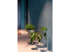 Plantenstaander M BOTANIQUE - Goud Goud -BergHOFF || Zuiver Verkoopwinkel dutchbone botanique 28597