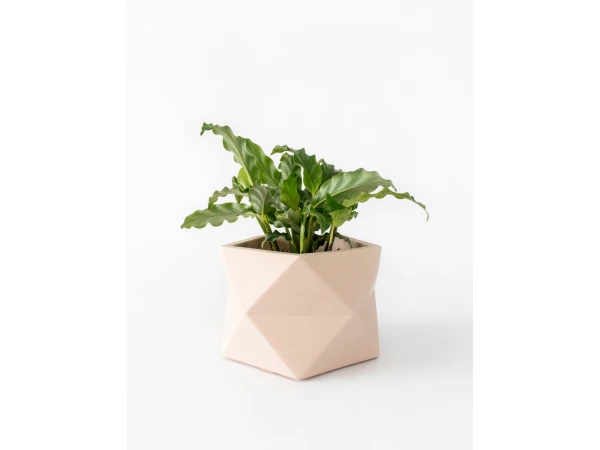 Plantenpot 8,5 Cm PALUA - Millennial Pink Roze 3 Plantenpot 8,5 Cm PALUA - Millennial Pink Roze