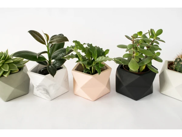 Plantenpot 8,5 Cm PALUA - Millennial Pink Roze 4 Plantenpot 8,5 Cm PALUA - Millennial Pink Roze - Afbeelding 2
