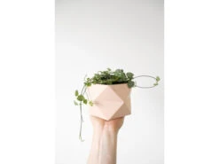 Plantenpot 8,5 Cm PALUA - Millennial Pink Roze 14 Plantenpot 8,5 Cm PALUA - Millennial Pink Roze -BergHOFF || Zuiver Verkoopwinkel house raccoon 46547