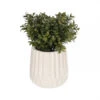 Kunstplant Met Keramische Pot MILAN Multicolor -BergHOFF || Zuiver Verkoopwinkel kave home milan 49023