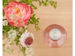 Waterfles PINK - Roze Roze -BergHOFF || Zuiver Verkoopwinkel paveau twilight 62934